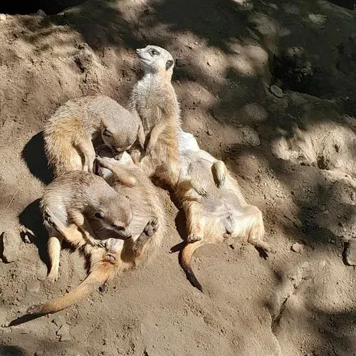 Tavaszköszöntő élményút Mórahalomtól Szegedig 5