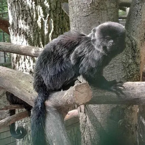 Tavaszköszöntő élményút Mórahalomtól Szegedig 6