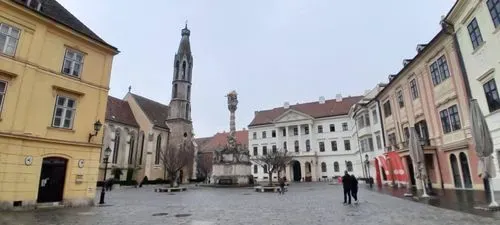 CSÁFORDJÁNOSFA TŐZIKE VIRÁGZÁS IDEJÉN - 
Fertőszentmiklós-Fertőszéplak-Hegykő 1