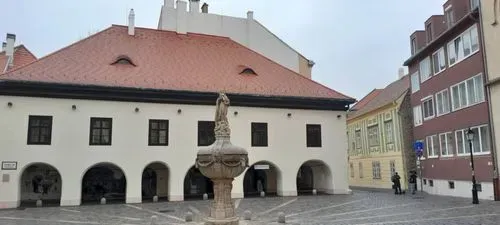 CSÁFORDJÁNOSFA TŐZIKE VIRÁGZÁS IDEJÉN - 
Fertőszentmiklós-Fertőszéplak-Hegykő 6