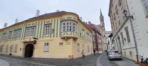 CSÁFORDJÁNOSFA TŐZIKE VIRÁGZÁS IDEJÉN - 
Fertőszentmiklós-Fertőszéplak-Hegykő 9