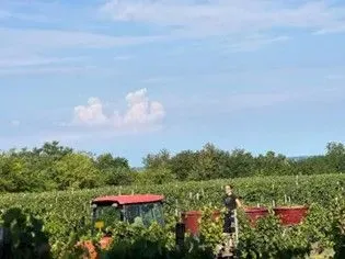 SZÜRETI KIRUCCANÁS - GYÖRKÖNY ÉS OZORA 2