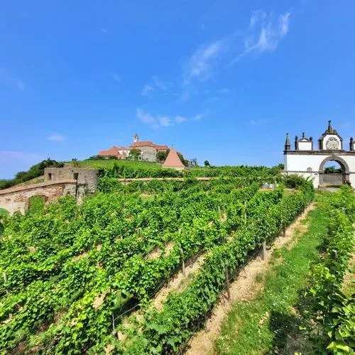 RIEGERSBURGI VÁR ÉS A ZOTTER CSOKOLÁDÉGYÁR 2