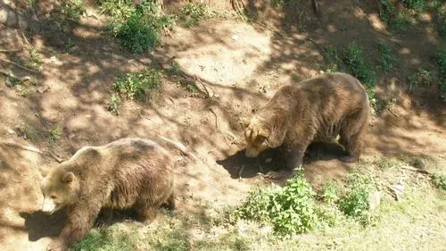 KASSA – városnézés, állatkert és dinó park 1