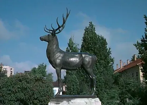 SZILVANAP SZARVASON 7