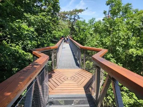 Fonyódi piac – Boglár - Lengyeltóti - Szőlősgyöröki Tulpigarden 2