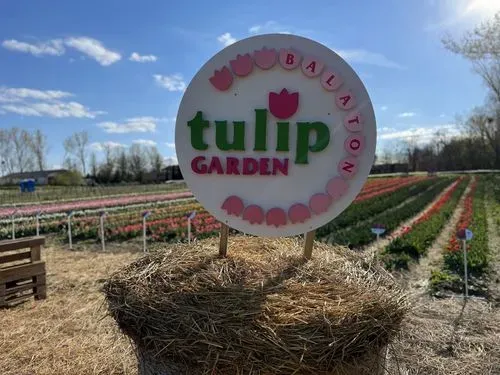 Fonyódi piac – Boglár - Lengyeltóti - Szőlősgyöröki Tulpigarden 3