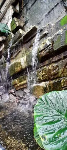 SZLOVÉNIA CSODÁI - Lendva - Dobronak - Bakónaki-tó 3