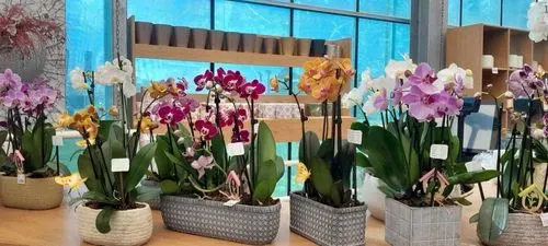 SZLOVÉNIA CSODÁI - Lendva - Dobronak - Bakónaki-tó 4