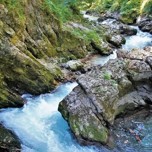 Utazás kép Vintgar-szurdok és Bled