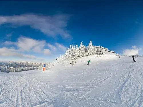 Egy napos síelés és szánkózás
SEMMERING vagy STUHLECK 1