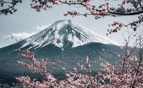 Japán körút - Fuji árnyéka, bambuszerdők titka 4
