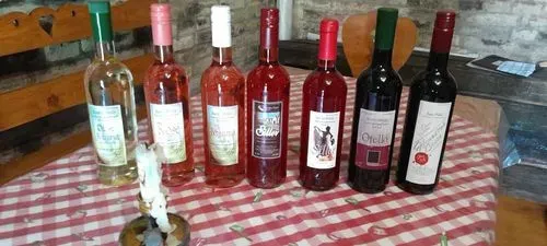 EGY NAP AZ ATOMVÁROSBAN - PAKSI ATOMERŐMŰ LÁTOGATÁS 2