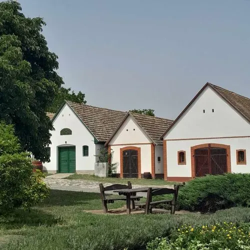 EGY NAP AZ ATOMVÁROSBAN - PAKSI ATOMERŐMŰ LÁTOGATÁS 6