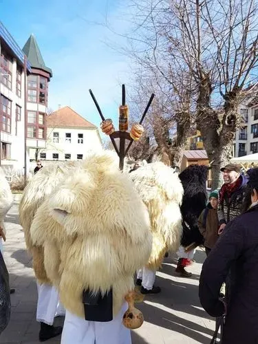 BUSÓJÁRÁS MOHÁCSON 5