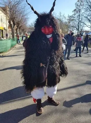 BUSÓJÁRÁS MOHÁCSON 6