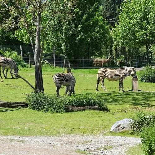 Graz és a HERBERSTEIN KASTÉLY-ÁLLATKERT  2