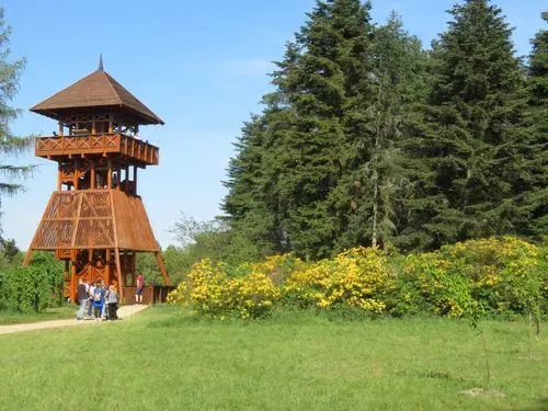 KÖRMEND ÉS KÁM RODODENDRON VIRÁGZÁS IDEJÉN 4