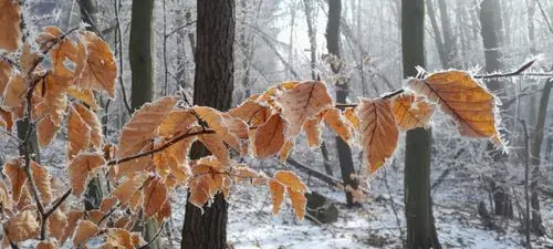 Utazás kép A MÁTRA LEGSZEBB KILÁTÓI - KÉKES, GALYATETŐ, SÁSTÓ