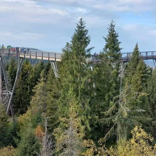 Utazás kép SÉTÁLJ A FÁK FÖLÖTT (TREETOP WALK)
ÉS A FÖLD ALATT (BÉLAI-BARLANG)