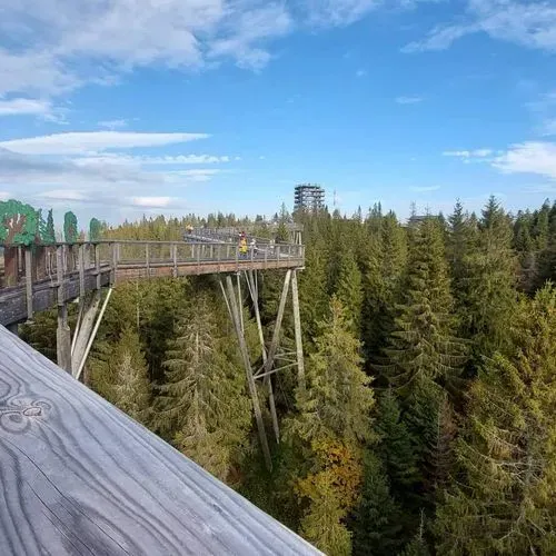 SÉTÁLJ A FÁK FÖLÖTT (TREETOP WALK) 
ÉS A FÖLD ALATT (BÉLAI-BARLANG) 1