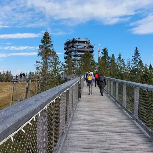 SÉTÁLJ A FÁK FÖLÖTT (TREETOP WALK) 
ÉS A FÖLD ALATT (BÉLAI-BARLANG) 3