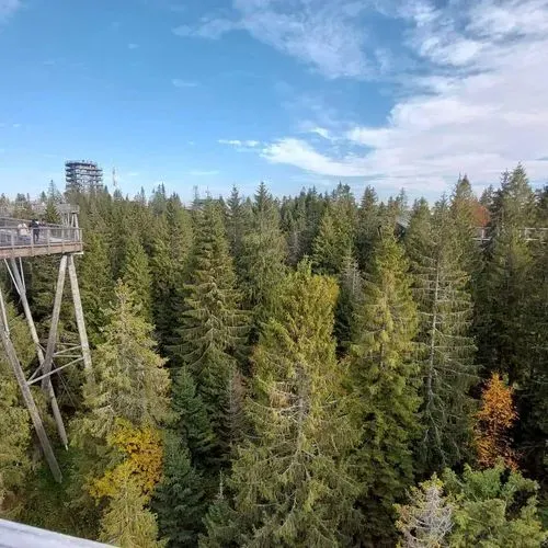 SÉTÁLJ A FÁK FÖLÖTT (TREETOP WALK) 
ÉS A FÖLD ALATT (BÉLAI-BARLANG) 6