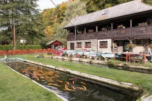 LILLAFÜREDI MAJÁLIS - libegőzéssel és pisztrángozással 4