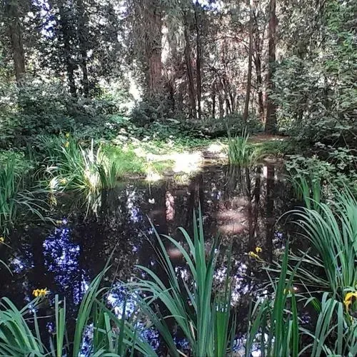 MALONYA – BÉNY – ZSELÍZ
(A RODODENDRON VIRÁGZÁS IDEJÉN) 4