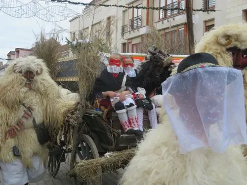 BUSÓJÁRÁS MOHÁCSON 4