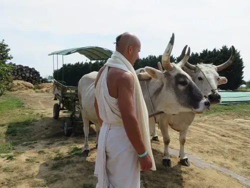 KRISNA-VÖLGYI BÚCSÚ 2