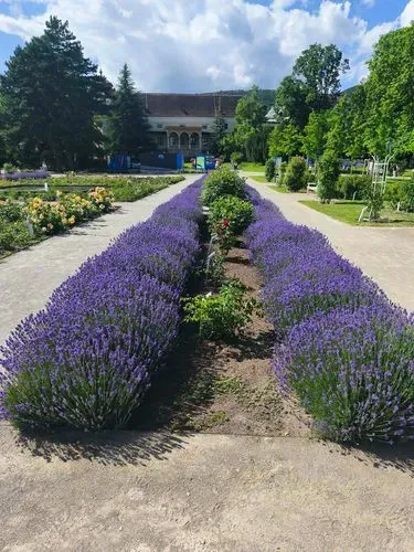 MAYERLING ÉS BADEN - CSÁSZÁRMORZSA KÓSTOLÓVAL 4