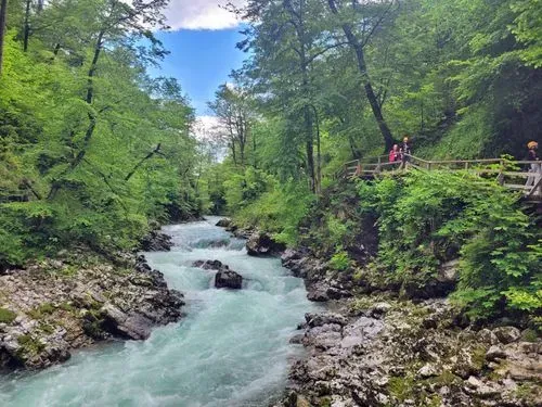 Vintgar-szurdok és Bled  6