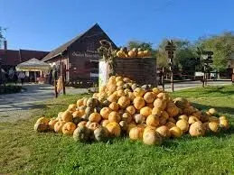 Utazás kép ŐSZI ÉLMÉNYEK AZ ŐRSÉG SZÍVÉBEN
- Aranyló Ősz az Őrségben – Tökfesztivál Hangulatban 
