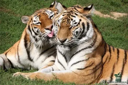 TÖRTÉNELEM ÉS ÁLLATKERTI KALAND VESZPRÉMBEN 2