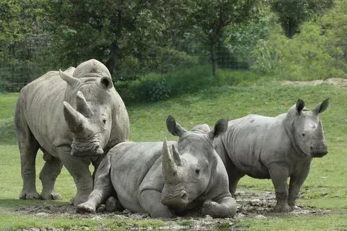 TÖRTÉNELEM ÉS ÁLLATKERTI KALAND VESZPRÉMBEN 4