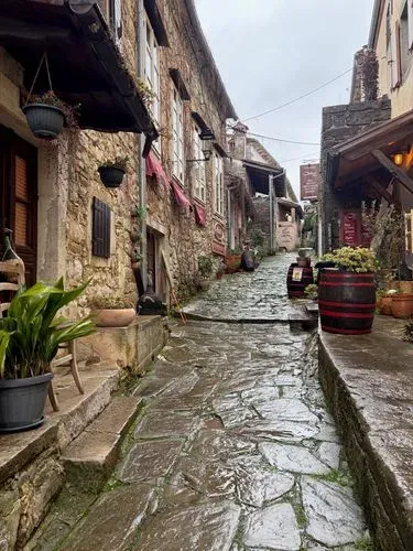 RIJEKAI KARNEVÁL
 1 éjszaka szállással 5