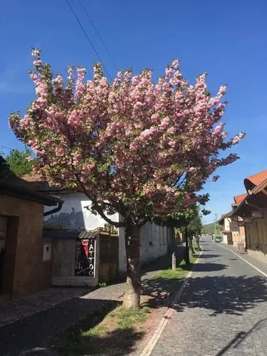 Fülek – Somoskő és Salgó vára 5