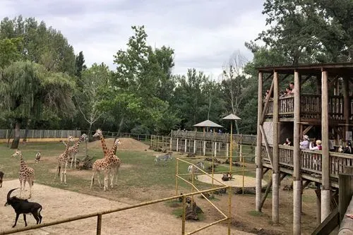 Állatkerti látogatás vagy fürdőzés Nyíregyháza - Sóstó 1