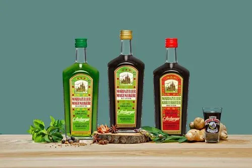 Alpesi panorámák és történelmi emlékek nyomában
Gloggnitz -Semmering-i vonatozás – Mariazell - Fraknó vára 8