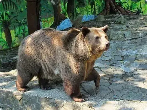 POZSONYI ÁLLATKERT - KITTSEE CSOKI VÁSÁRLÁSI LEHETŐSÉGGEL 3