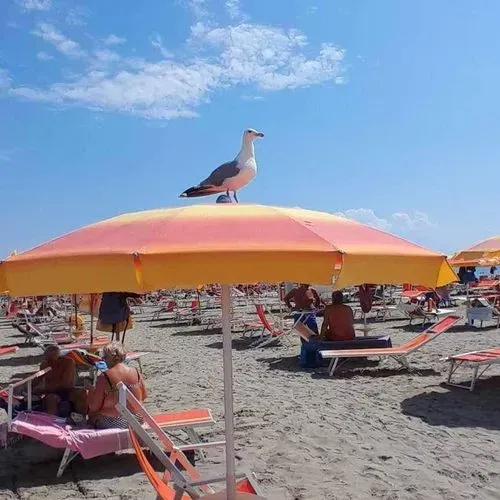 Grado - LUBICKOLÁS AZ OLASZ ADRIÁN 10