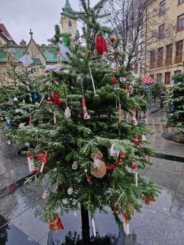 ADVENT POZSONY ÉS SCHLOSS HOF 1