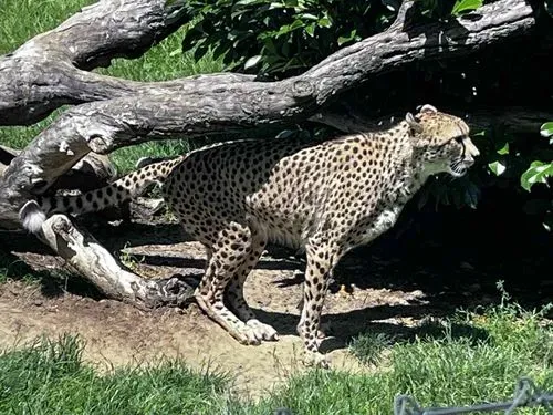 GRAZ ÉS A HERBERSTEIN KASTÉLY 2