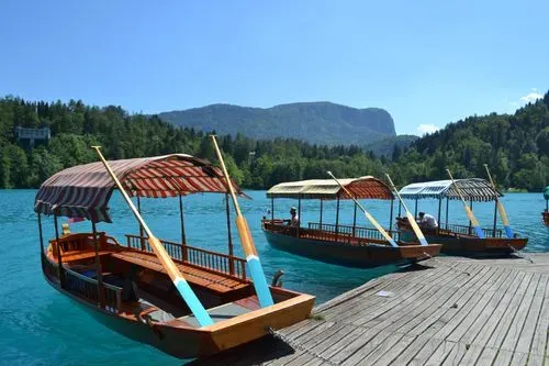 Bled és a Postojnai cseppkőbarlang 1