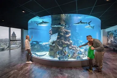 Utazás kép BÉCS - TENGER HÁZA