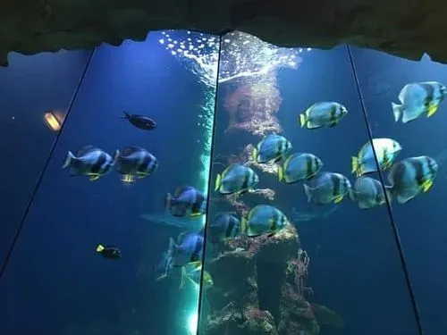 BÉCS - TENGER HÁZA 3