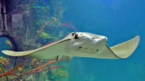 ADVENT BÉCS - TENGER HÁZA 1