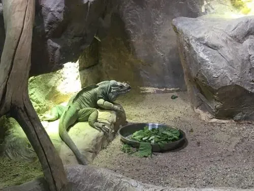 ADVENT BÉCS - TENGER HÁZA 2