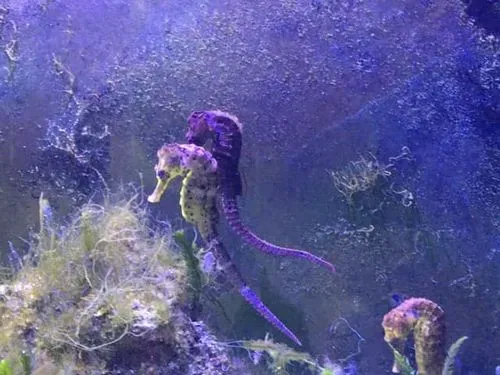 ADVENT BÉCS - TENGER HÁZA 3